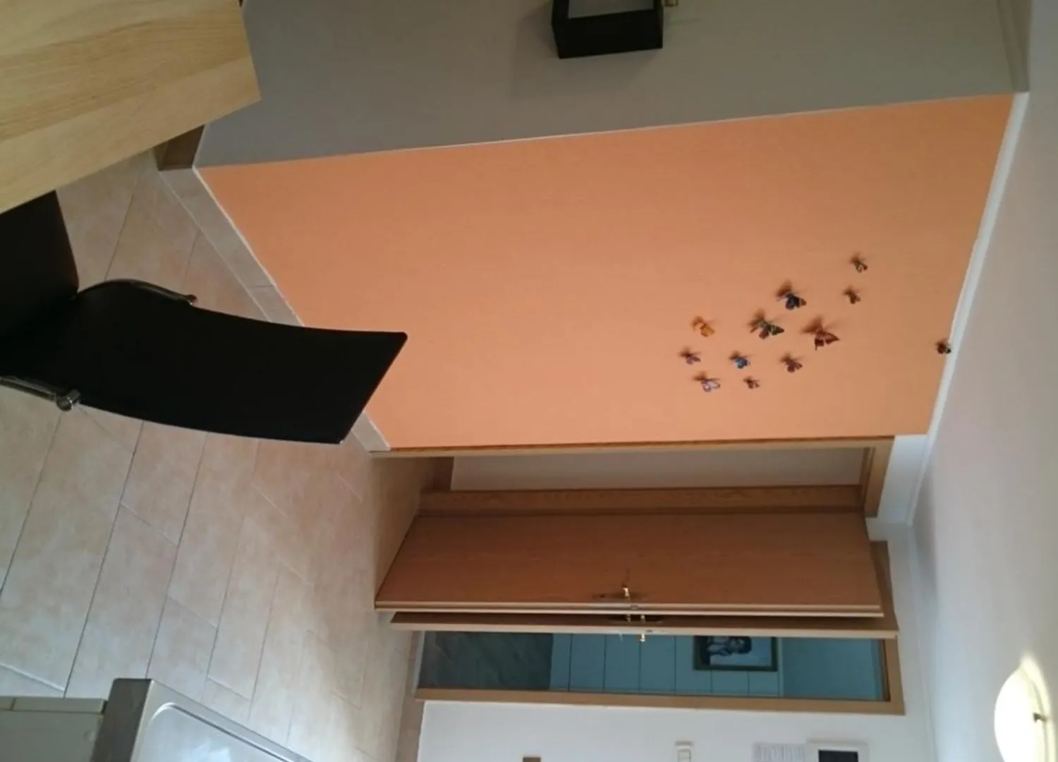 Apartment Sara Umag